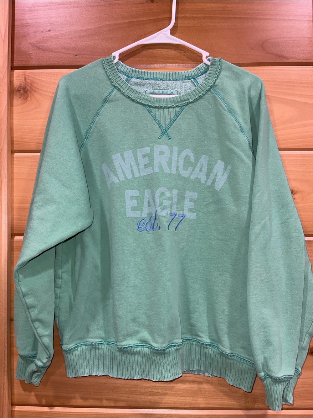 American Eagle Outfitters Mint Crewneck Sweatshirt with Logo